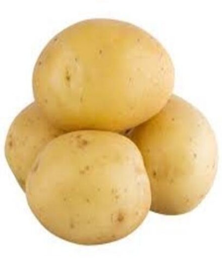 Potato